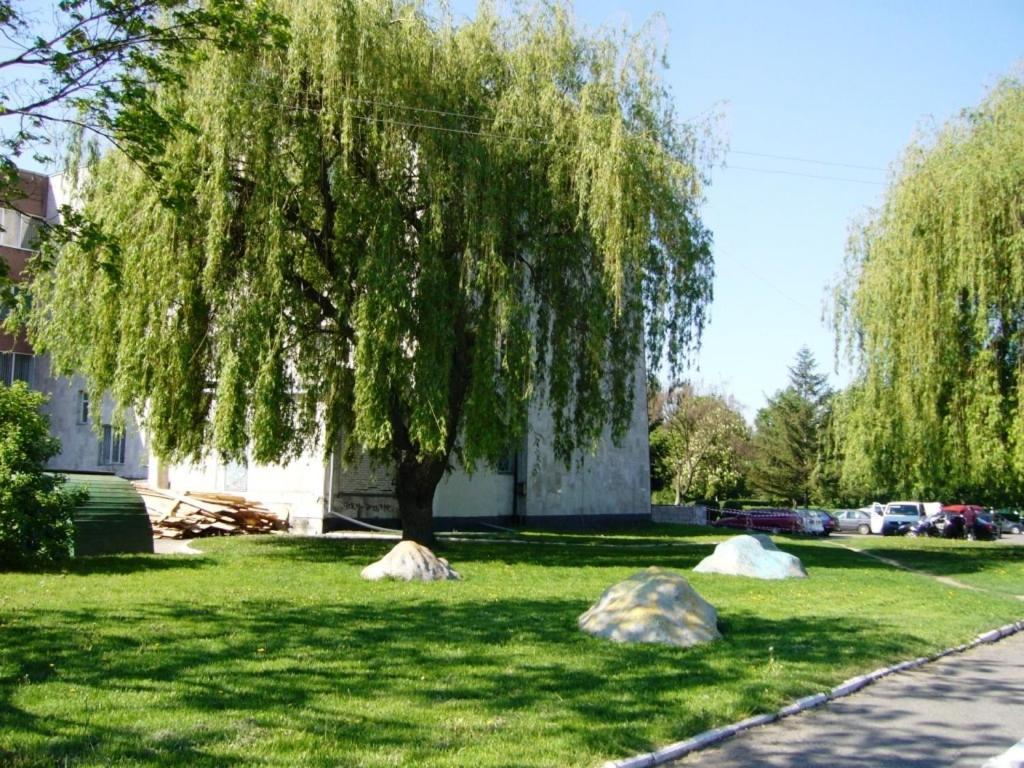 Hotel Profspilkovyi Loetsk Buitenkant foto